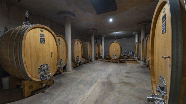 Viñedos de Alcohuaz - Image 3 Viñedos de Alcohuaz - Image 3
